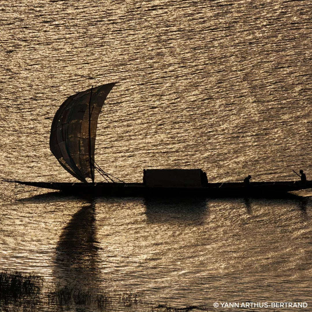 Guerlain Santal Royal 24 Eau de Parfum, 125ml