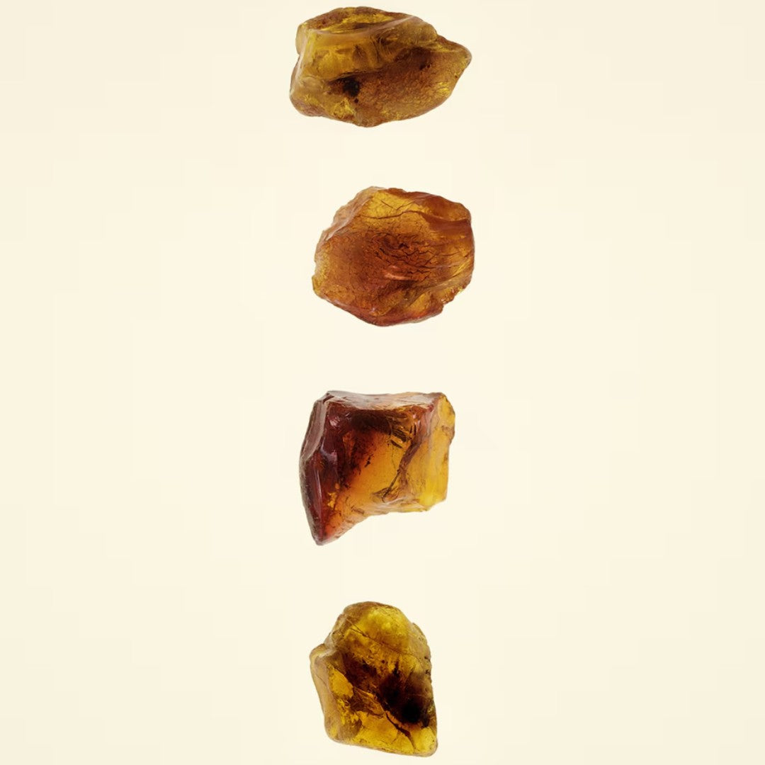 Amber Heath Eau de Parfum (100ml)